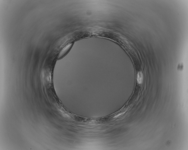 X0000091081155200709041235