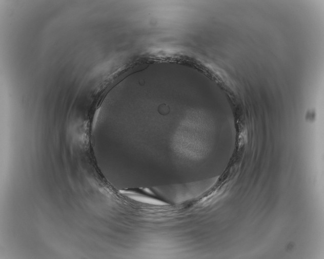 X0000091081156200709041235