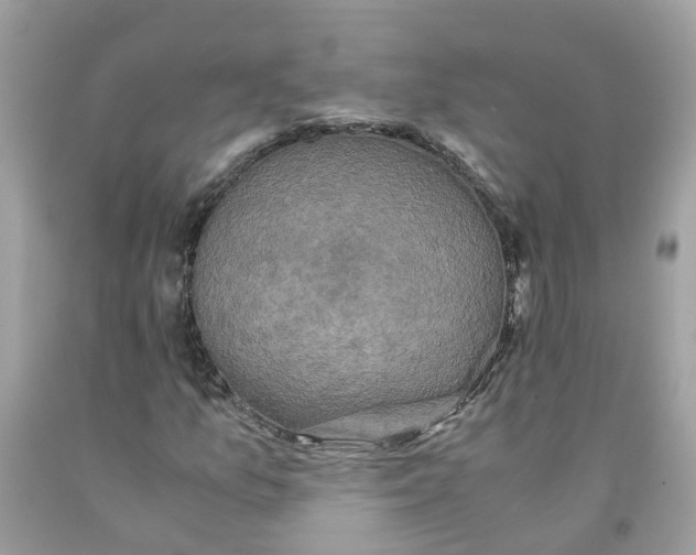 X0000091081157200709041234