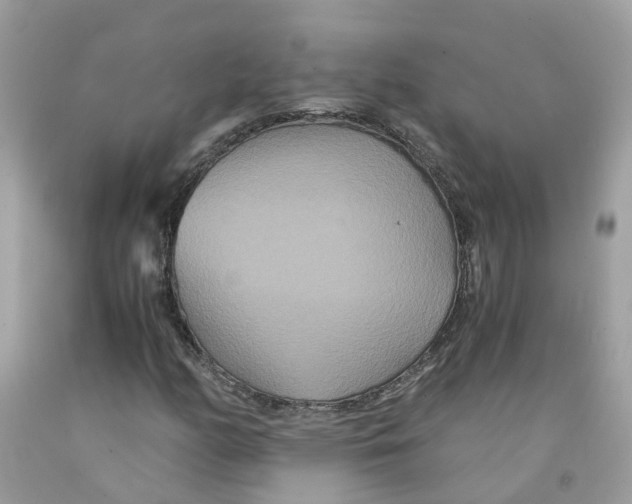 X0000091081158200709041234