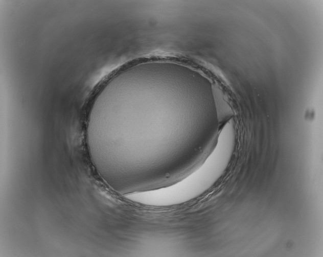 X0000091081160200709041234