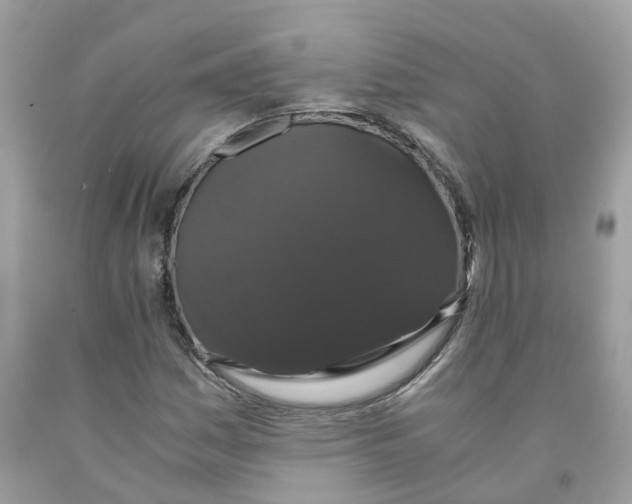 X0000091081161200709041234