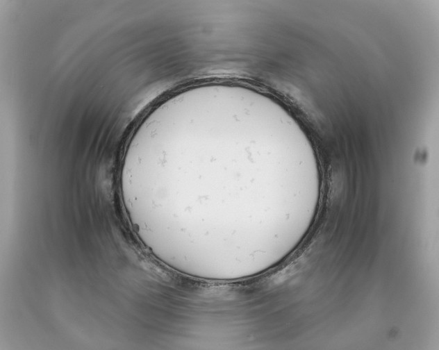 X0000091081162200709041234