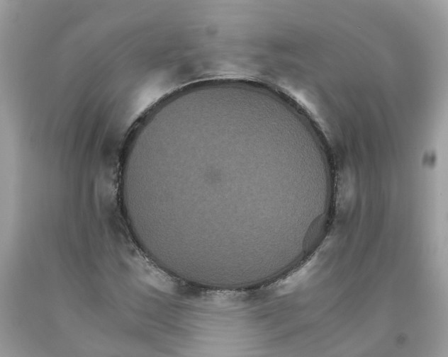 X0000091081163200709041234