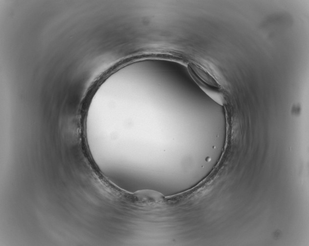 X0000091081164200709041234