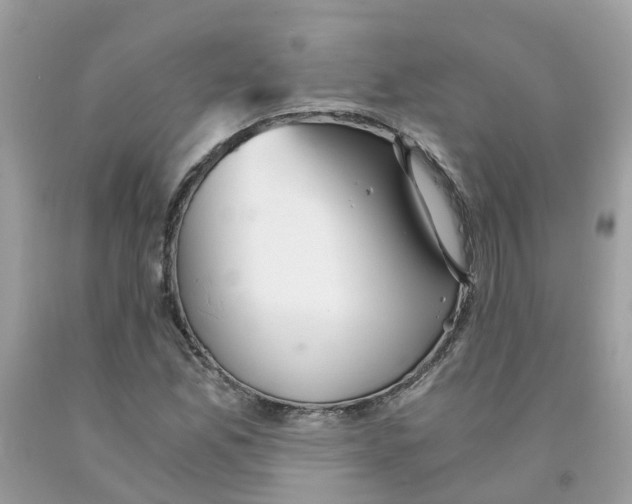 X0000091081165200709041234