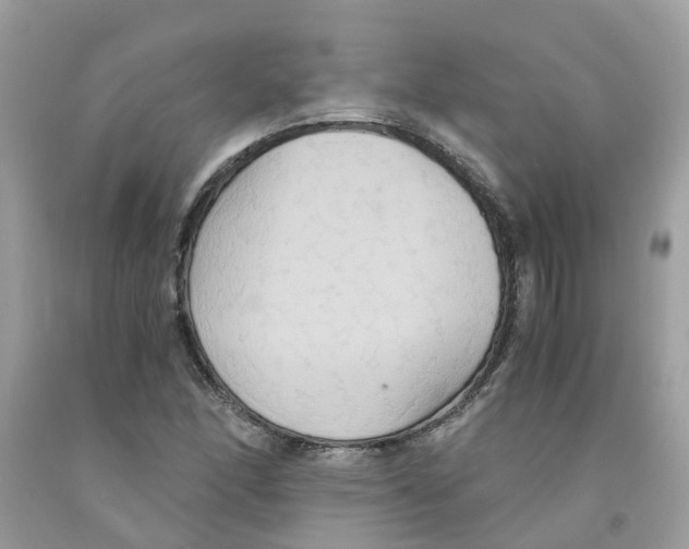 X0000091081166200709041234