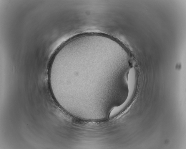 X0000091081167200709041234