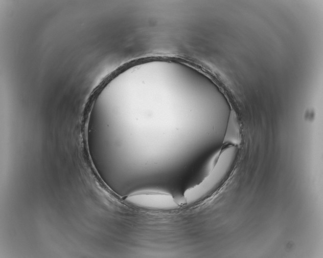 X0000091081168200709041234