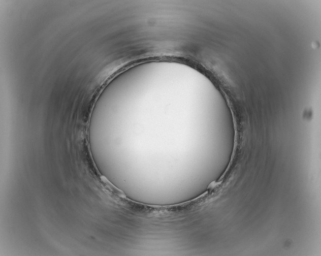 X0000091081169200709041234