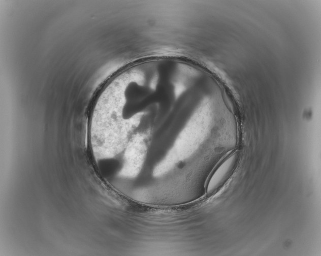 X0000091081171200709041234