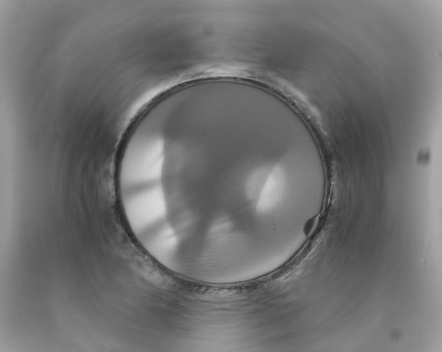 X0000091081174200709041234