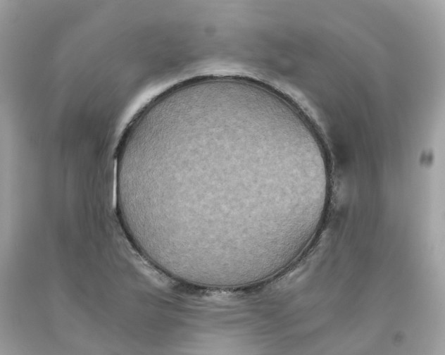 X0000091081175200709041234