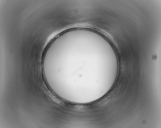 X0000091081176200709041234