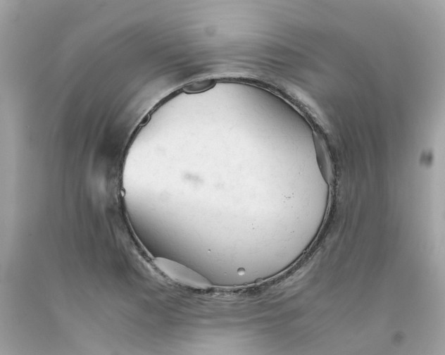 X0000091081177200709041234