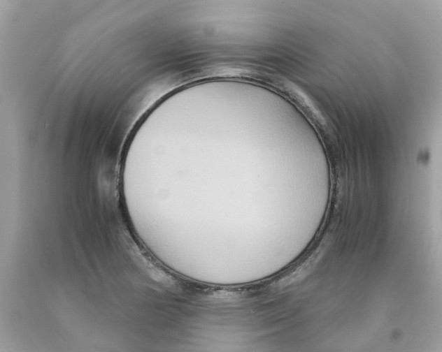 X0000091081178200709041234