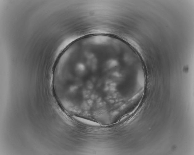 X0000091081179200709041234