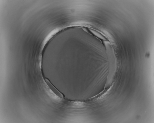 X0000091081180200709041234