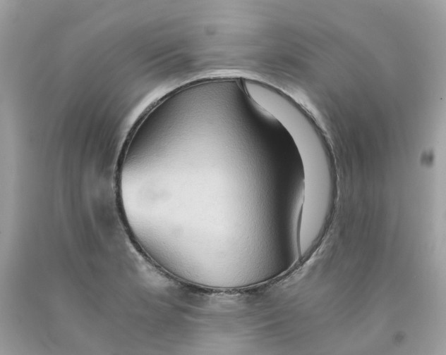 X0000091081181200709041234