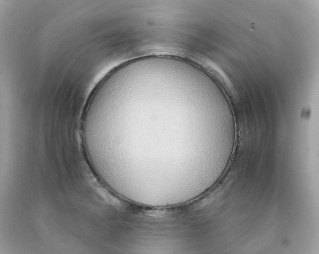 X0000091081182200709041234