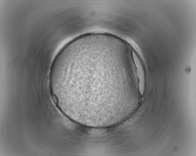 X0000091081183200709041234