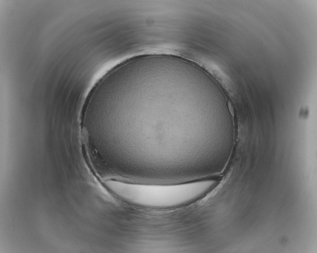 X0000091081184200709041234