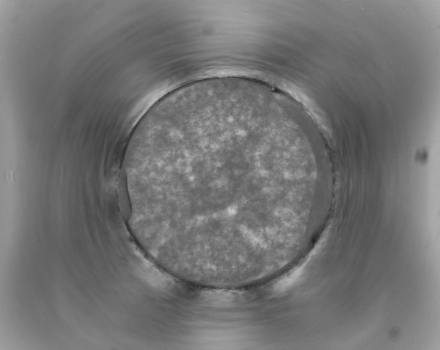 X0000091081185200709041234