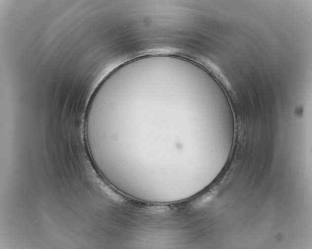 X0000091081186200709041234