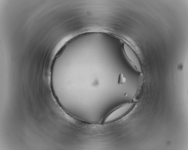 X0000091081188200709041234