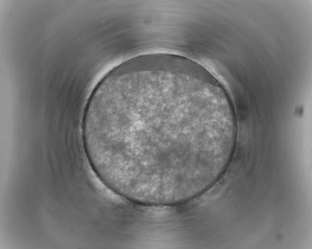 X0000091081189200709041234