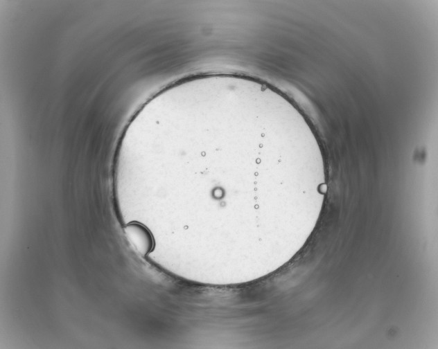 X0000091081191200709041234