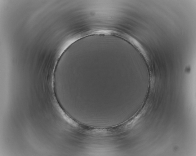 X0000091081194200709041234