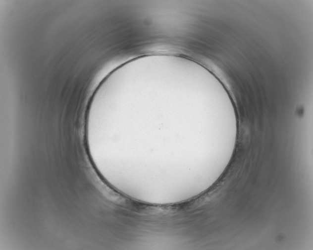 X0000091081195200709041234