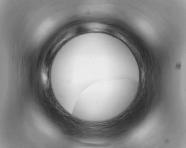 X0000091081198200709041234