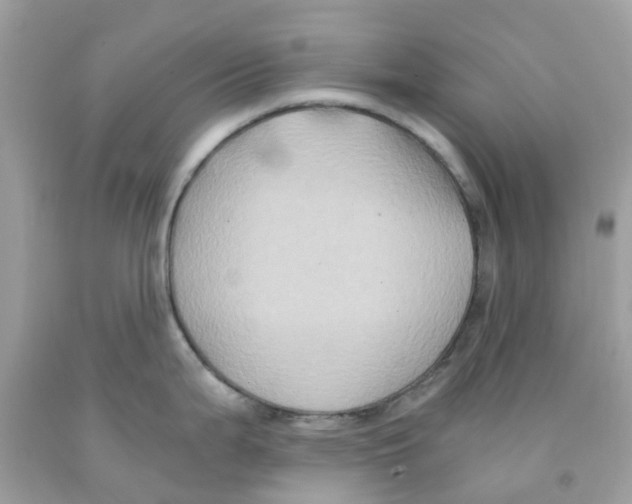 X0000091081199200709041234