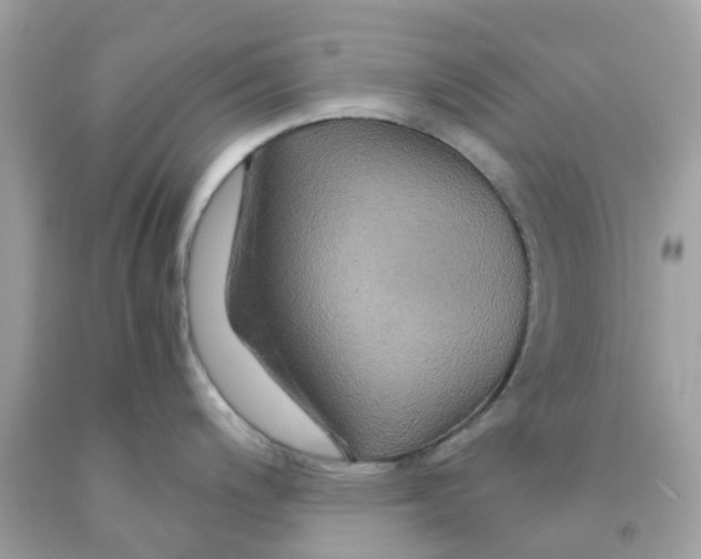 X0000091081200200709041234