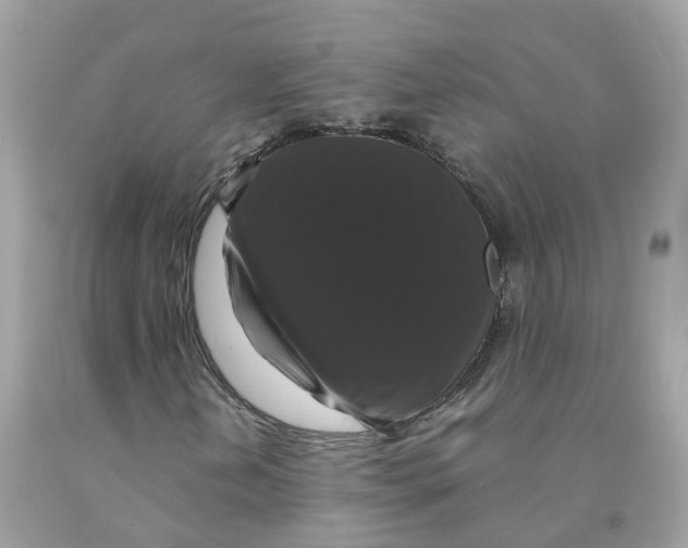 X0000091081202200709041233