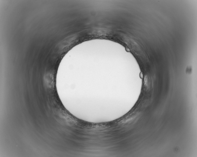 X0000091081203200709041233