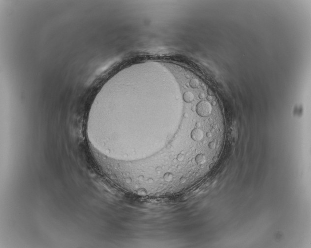 X0000091081205200709041233