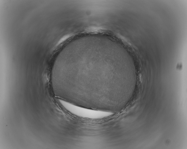 X0000091081206200709041233