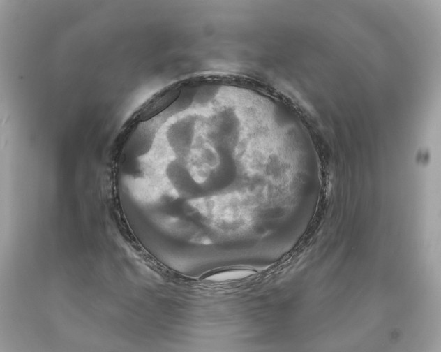 X0000091081208200709041233