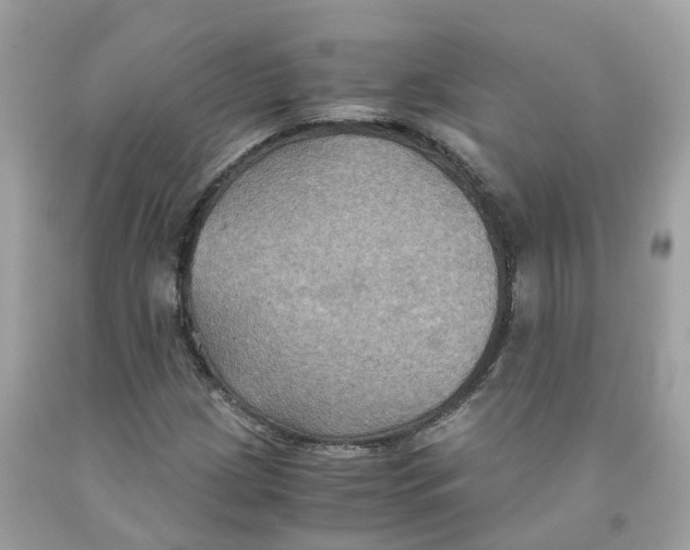 X0000091081209200709041233