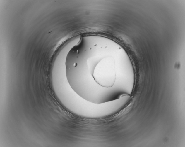 X0000091081210200709041233