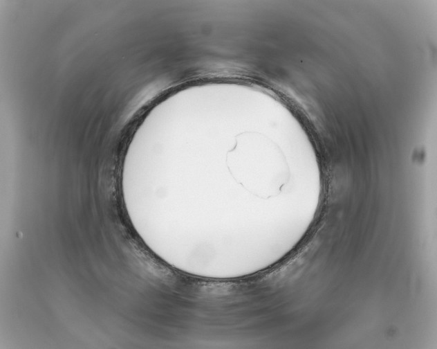 X0000091081211200709041233