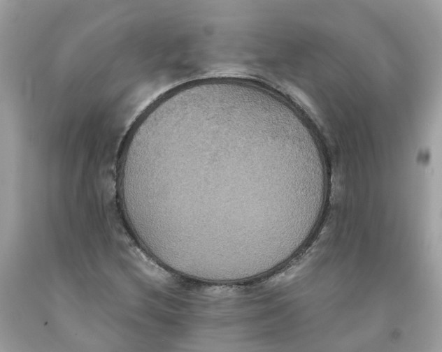 X0000091081212200709041233