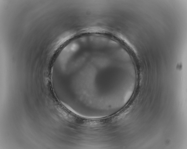 X0000091081213200709041233