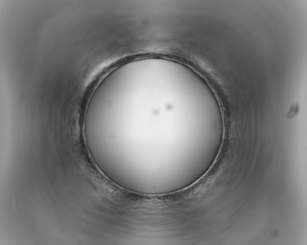 X0000091081214200709041233