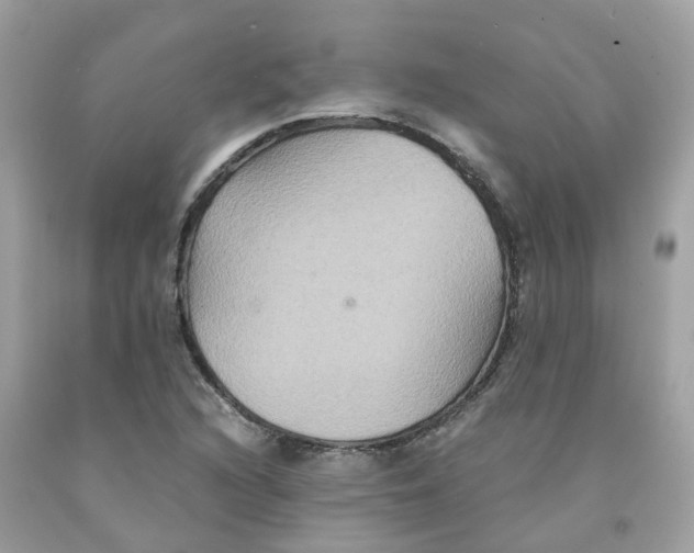 X0000091081216200709041233