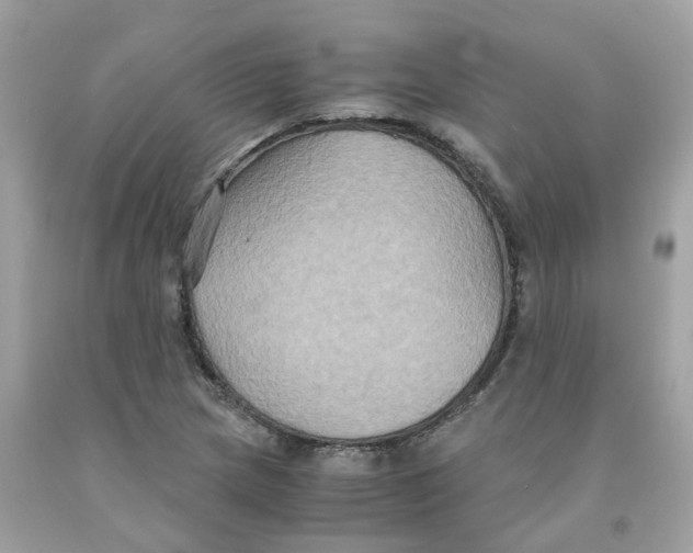 X0000091081217200709041233