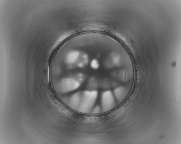 X0000091081219200709041233